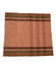 Pure Cotton Saree - Plain Body - Long Border 