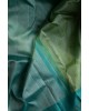 Pastel Kanchipuram Silk Saree
