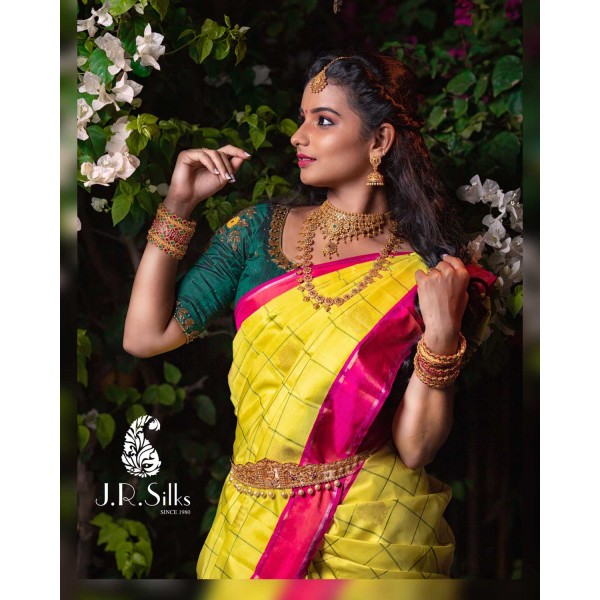 Handloom Weaves of Kanchi
